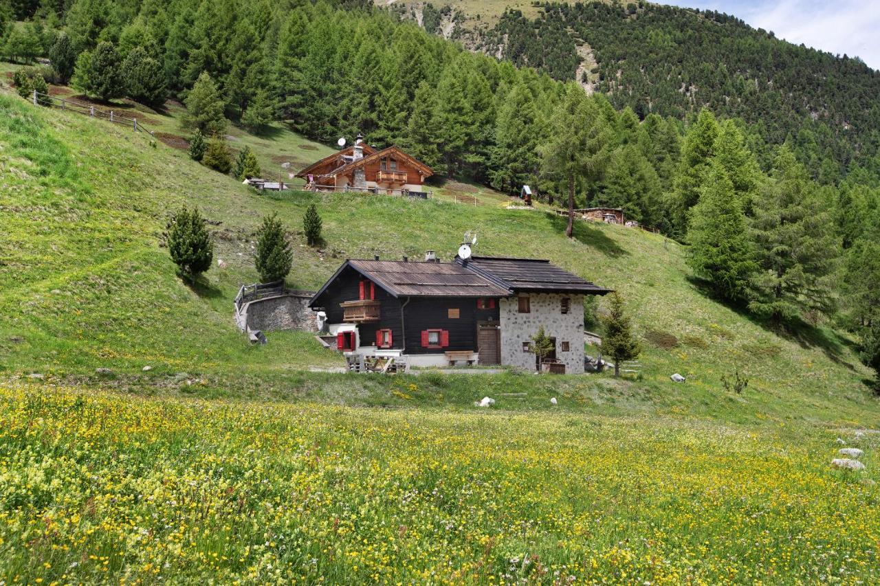 Chalet Chalet Shalom